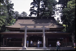 �����_�{