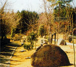 �ӂ邳�Ɣm�Ԃ̐X����