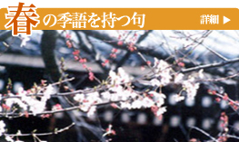 �t�̋G�������