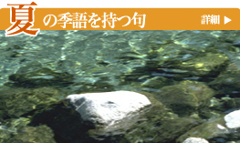 �Ă̋G�������