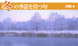 �~�̋G�������