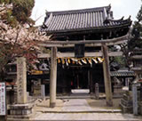 �u�L���قЁv����[���ꂽ�u���V�_�v