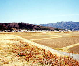 �t�����ā@�܂�����́@��R���Ȃ̐��쌻��