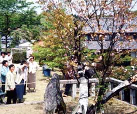 �ꗢ�́@�݂ȉԎ�́@�q������̐��쌻��