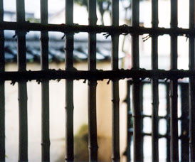 �s������@�~���N���ꂵ�@�t�̉J�̐��쌻��