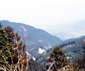 �_�����@��ɂ₷��Ӂ@���Ƃ̐��쌻��