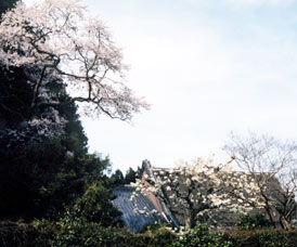 �Ԃ̉A�@�w�Ɏ�����@���Q�Ƃ̐��쌻��