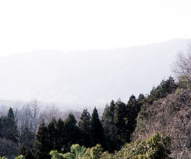 �t�Ȃ��@�����Ȃ��R�́@�����̐��쌻��