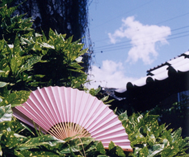 �y�m�̕���@��ɂ̂��ā@�]�˓y�Y�̐��쌻��