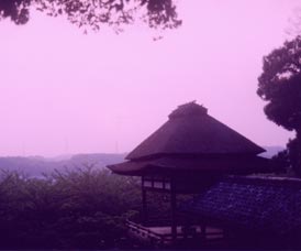 ���́@�܂����Ɂ@�قƂƂ���