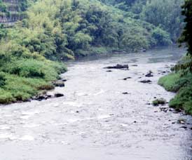 �܌��J���@�����ݐq�˂ʁ@����͂̐��쌻��