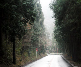 �t�����ā@�܂�����́@��R���Ȃ̐��쌻��