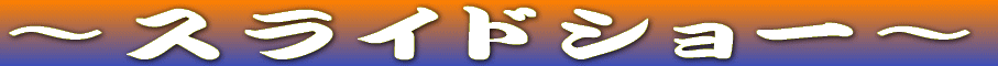 �`�X���C�h�V���[�` 