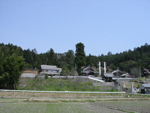 핟i