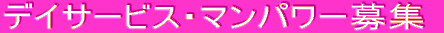 �f�C�T�[�r�X�E�}���p���[��W