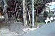 芭蕉公園