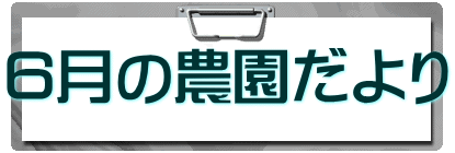 ６月の農園だより