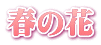 春の花