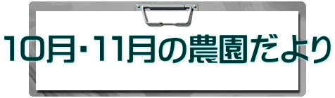 １０月・１１月の農園だより