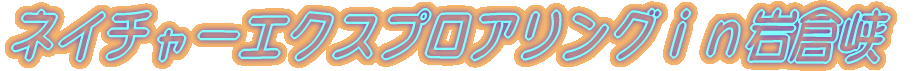 lC`[GNXvAOq
