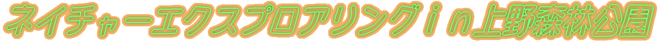 lC`[GNXvAOXь