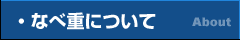 Ȃ׏dɂ
