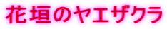 Ԋ_̃GUN