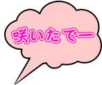 炢Ł[ 