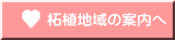 ѐAn̈ē 