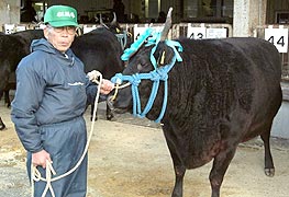 5千万円の松坂牛