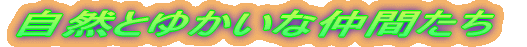 RƂ䂩ȒԂ 