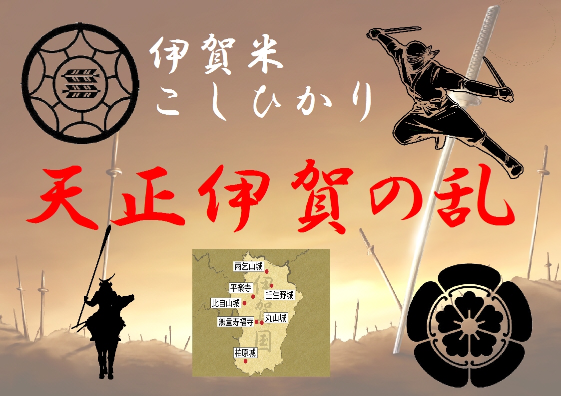 整体骨格矯正院 天正伊賀の乱の部屋