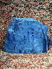 SP