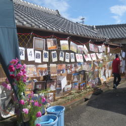 ごま種まき