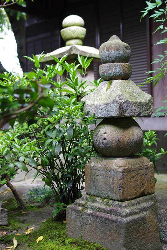 浄土宗 光明山 攝取院 念佛寺